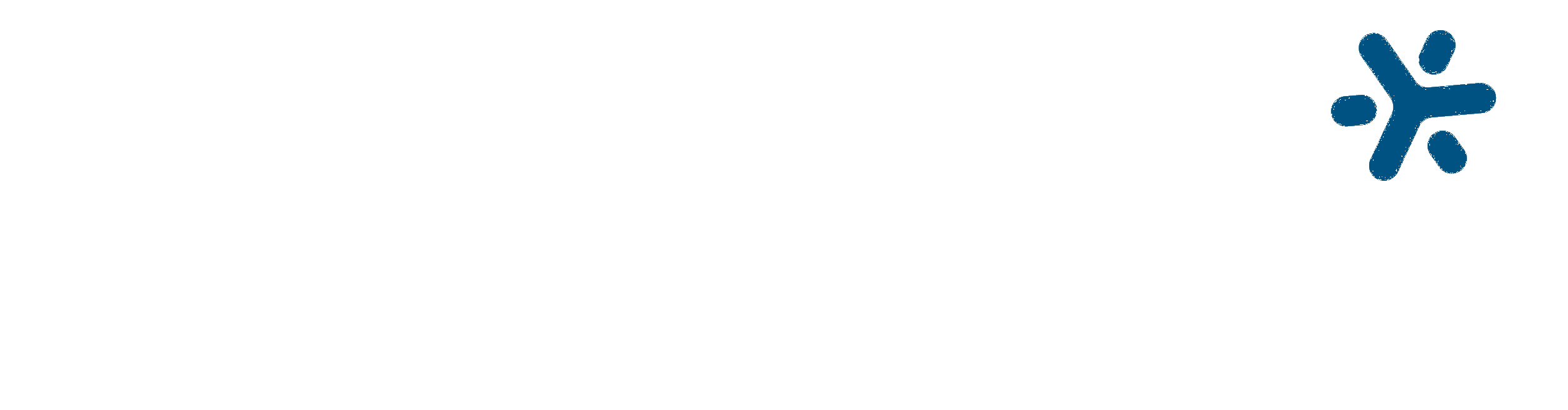 BrainChip